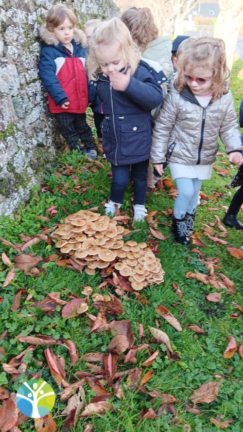 Les élèves de petite section à la recherche de l'automne
